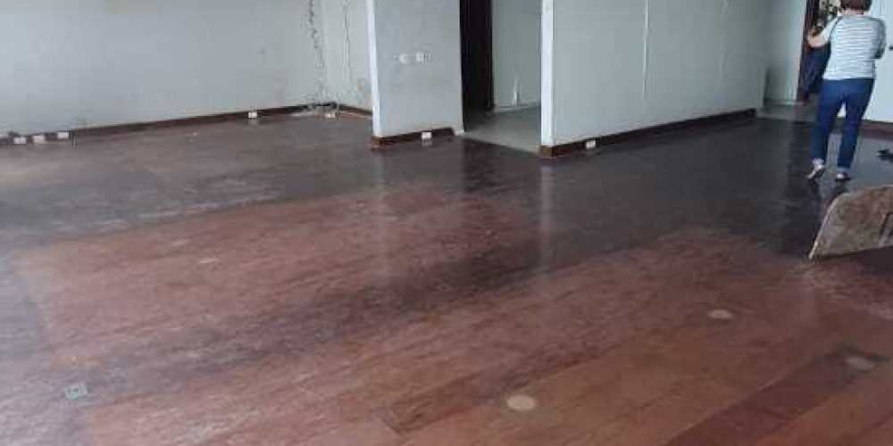 IMG-20241020-WA0249